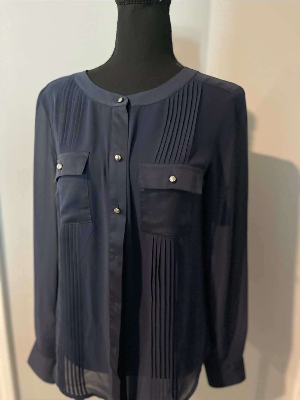Ann Taylor Navy Pleated Front Button-Down Blouse